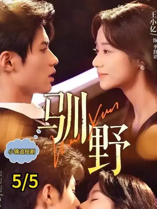锦衣录 古装探案剧高清在线